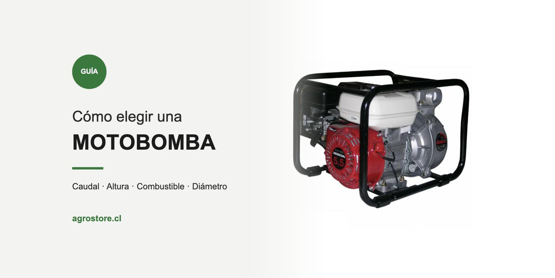 Cómo elegir una motobomba: caudal, altura, combustible y diámetro